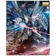 Bandai MG Freedom Gundam Ver 2.0 1/100